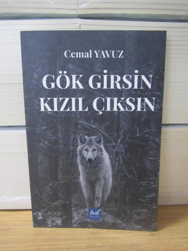Gök Girsin Kızıl Çıksın - Cemal Yavuz