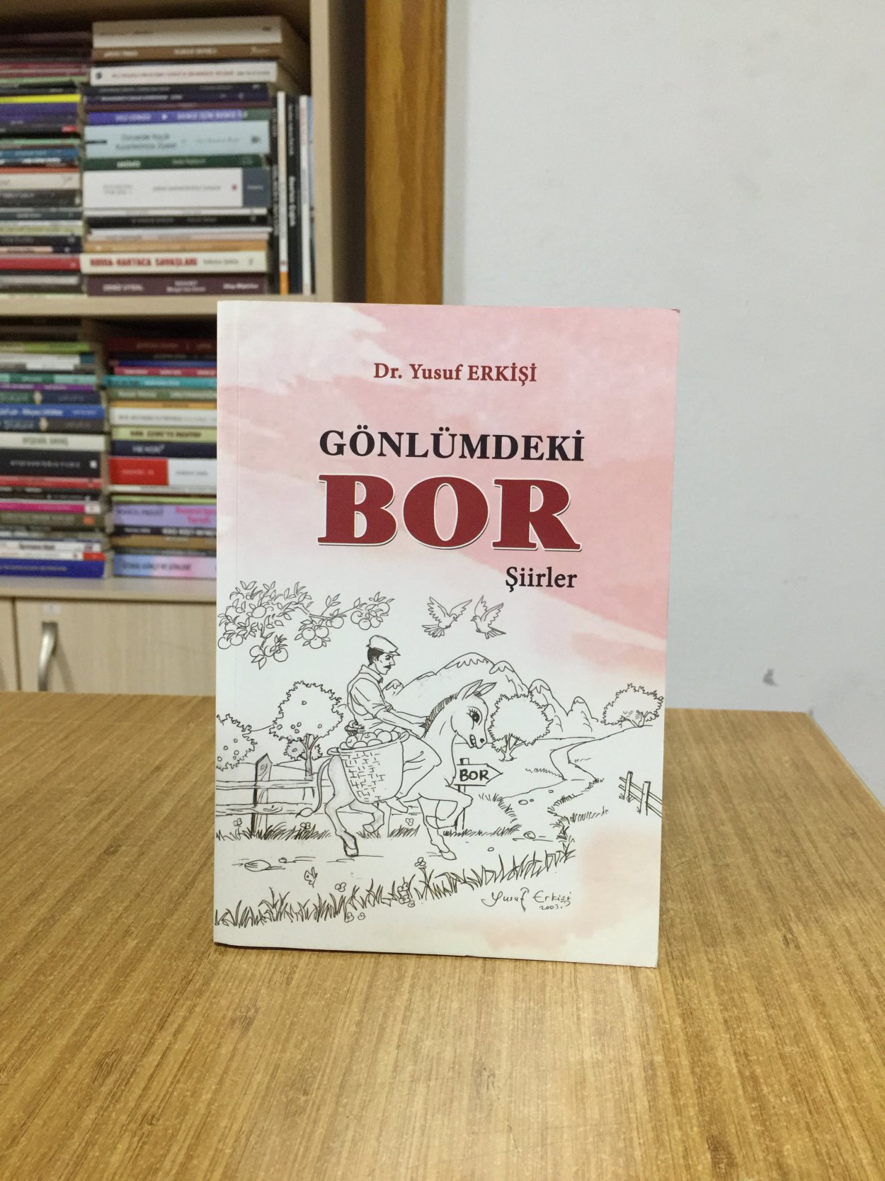 Gönlümdeki Bor - Dr. Yusuf Erkişi