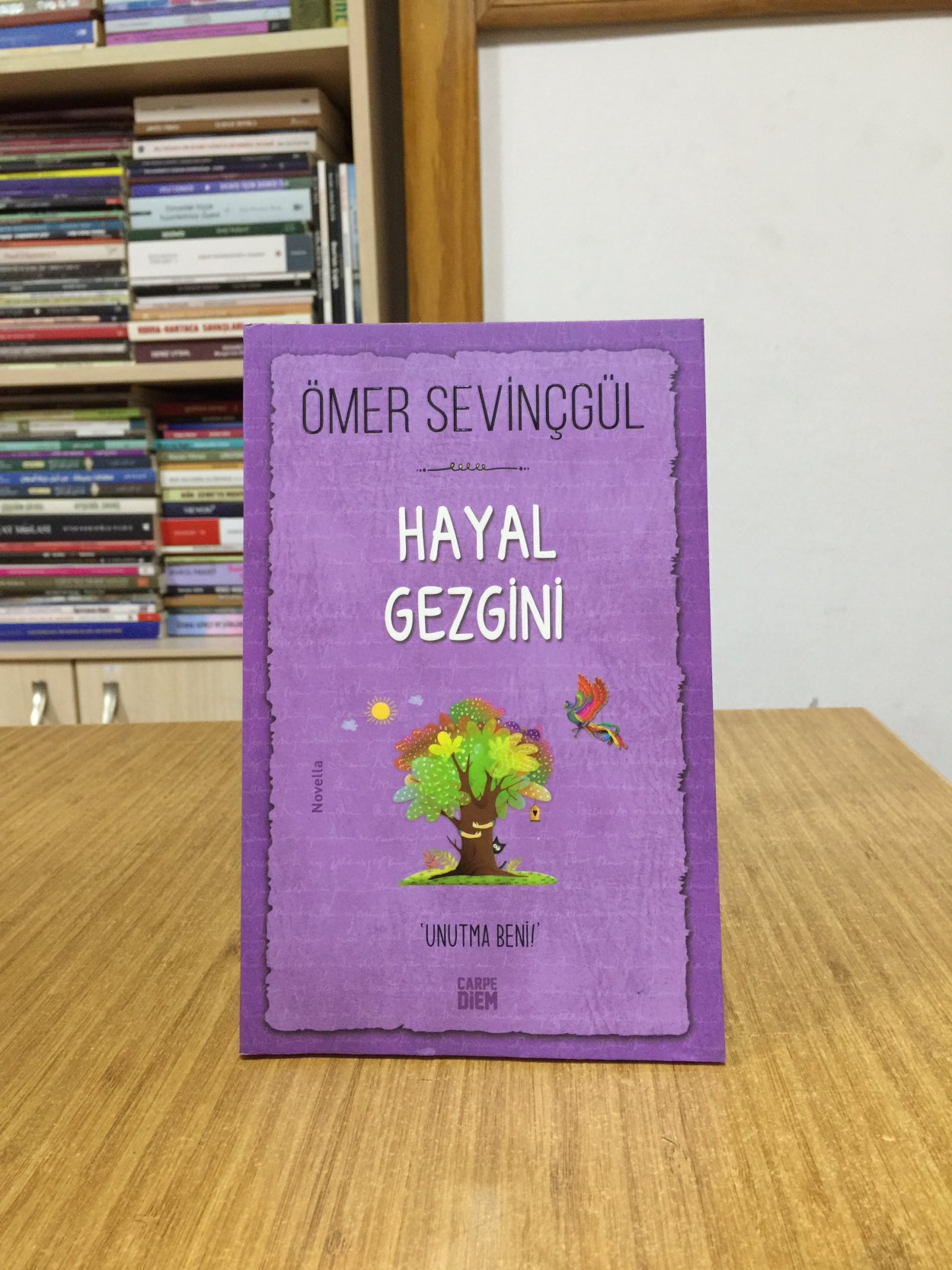 Hayal Gezgini - Ömer Sevinçgül