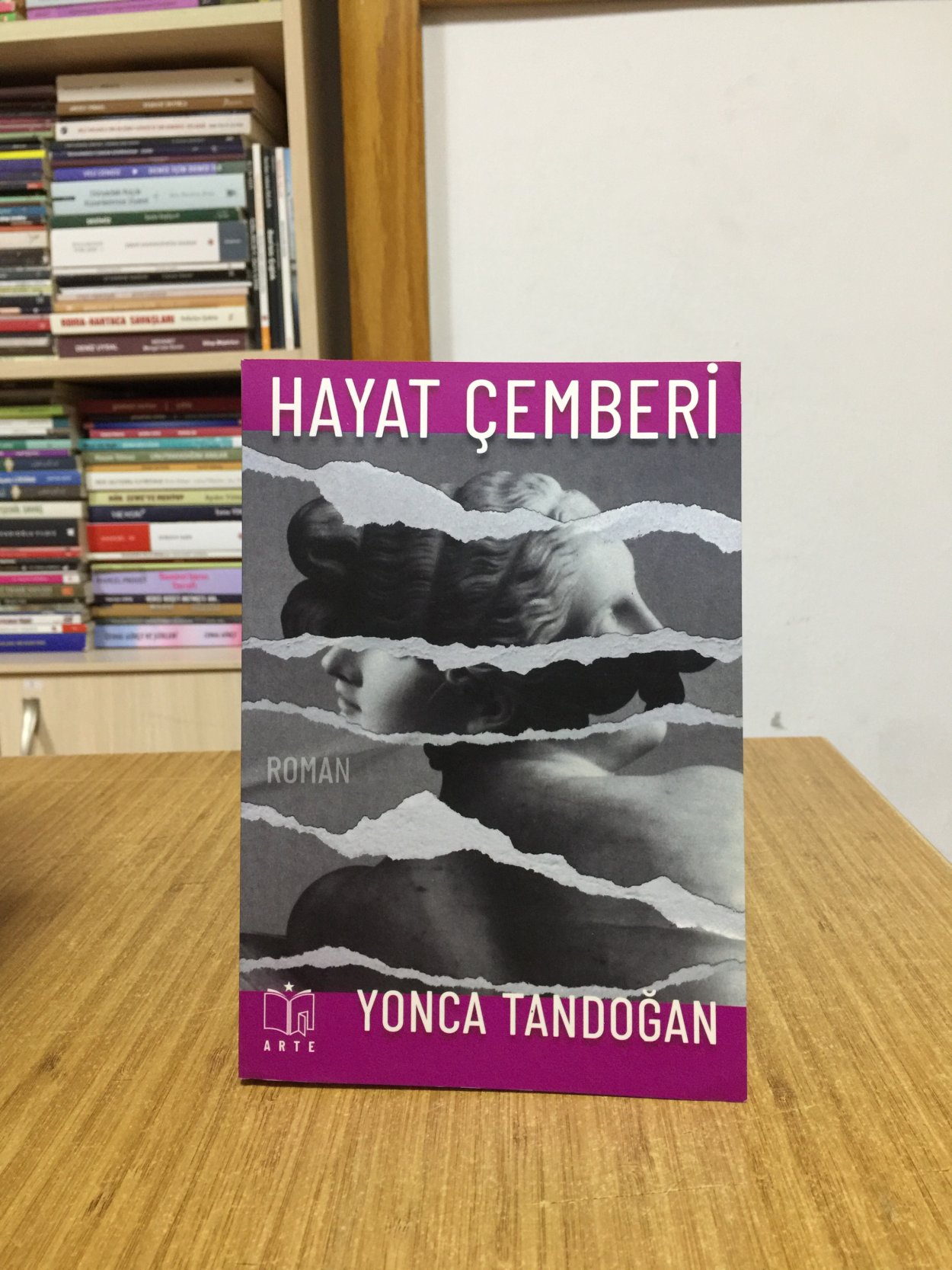 Hayat Çemberi - Yonca Tandoğan