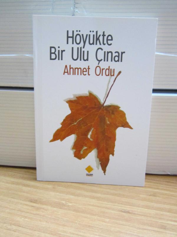Höyükte Bir Ulu Çınar
