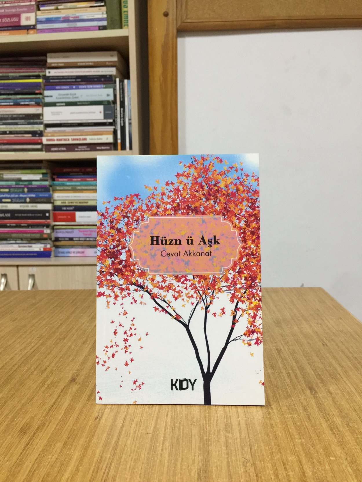 Hüzn ü Aşk - Cevat Akkanat