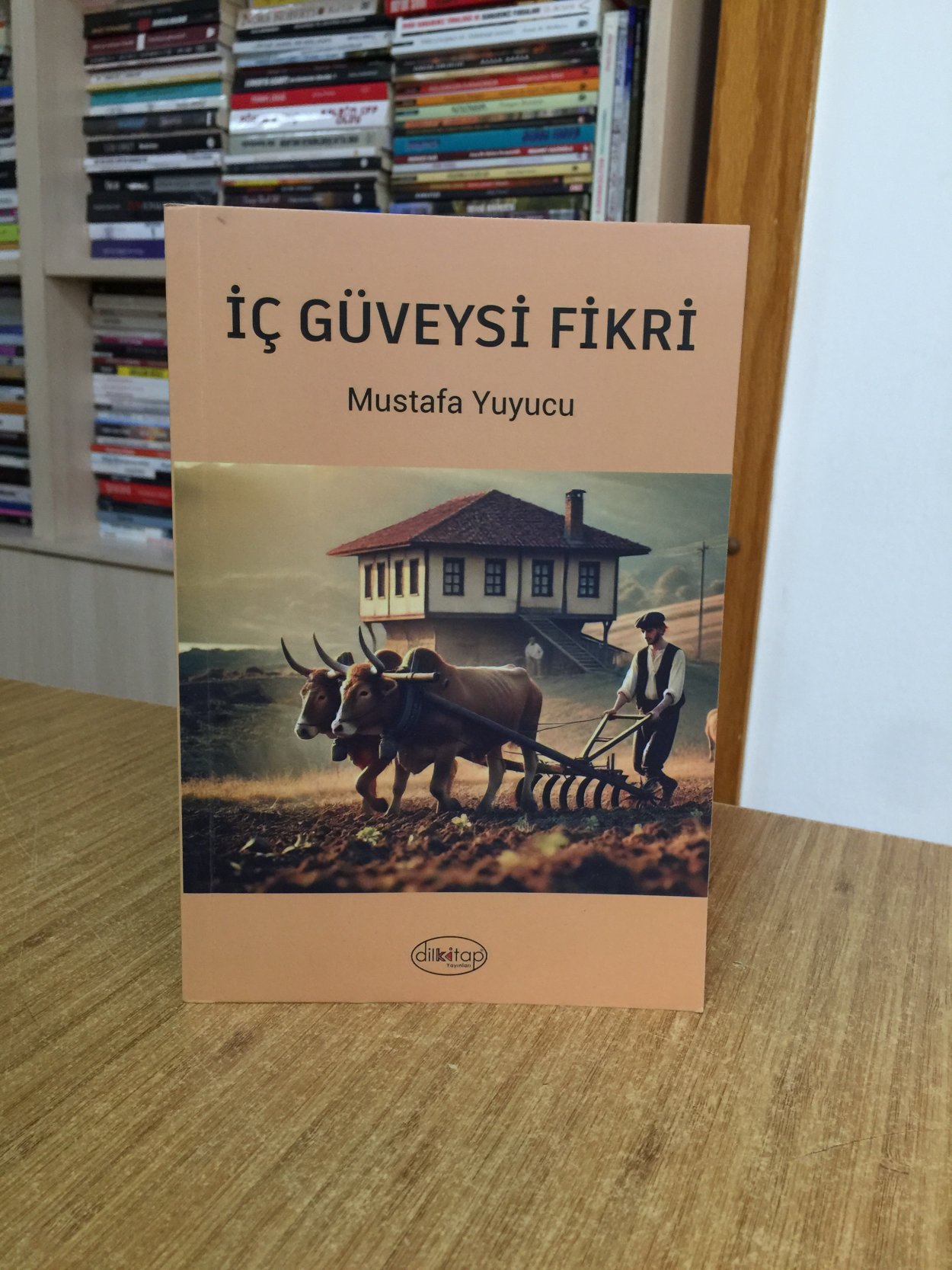 İç Güveysi Fikri - Mustafa Yuyucu