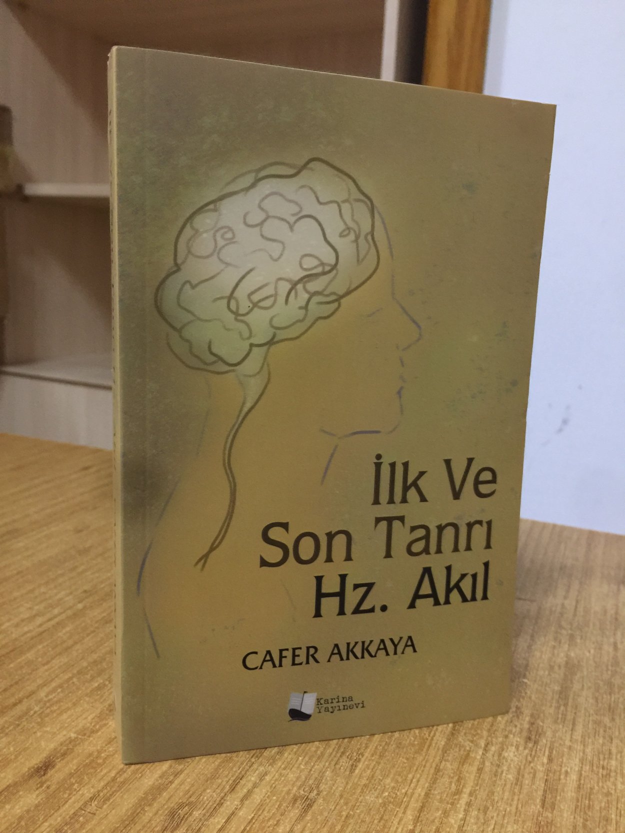 İlk ve Son Tanrı Hz. Akıl - Cafer Akkaya