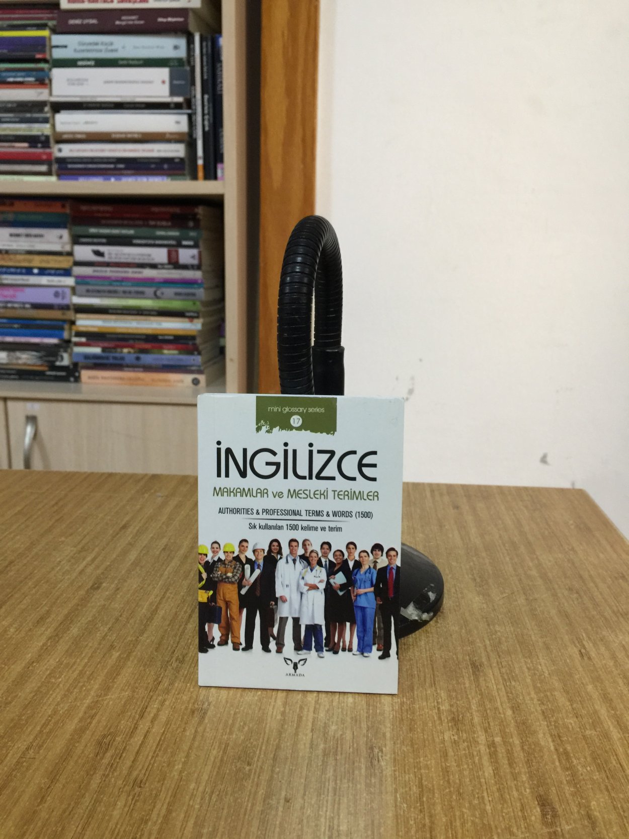 İngilizce Makamlar ve Mesleki Terimler/mini glossary series No:17