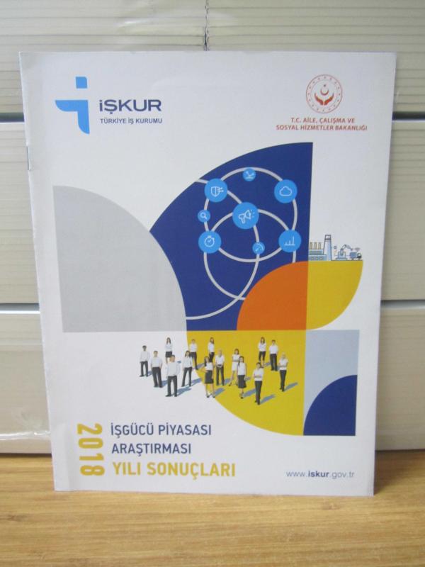 İŞKUR İşgücü Piyasası Araştırması 2018 Yılı Sonuçları