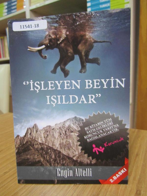 İşleyen Beyin Işıldar
