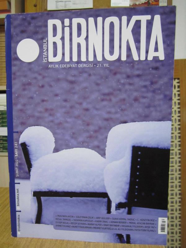 İstanbul Birnokta Dergisi - Sayı 241 - Şubat 2022