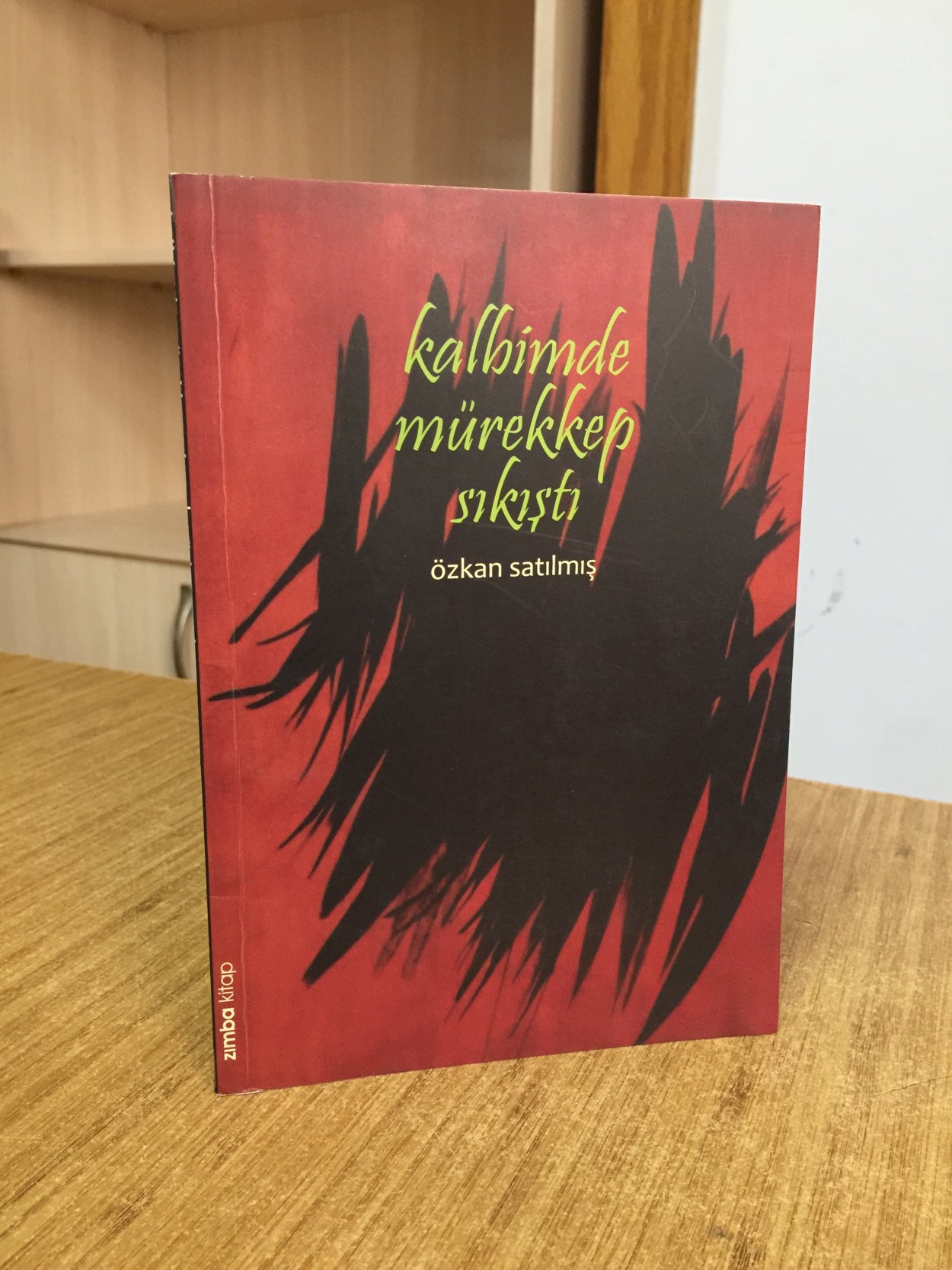 Kalbimde Mürekkep Sıkıştı - Özkan Satılmış