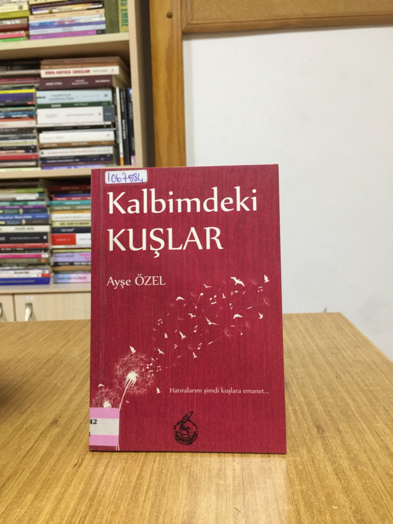 Kalbimdeki Kuşlar - Ayşe Özel