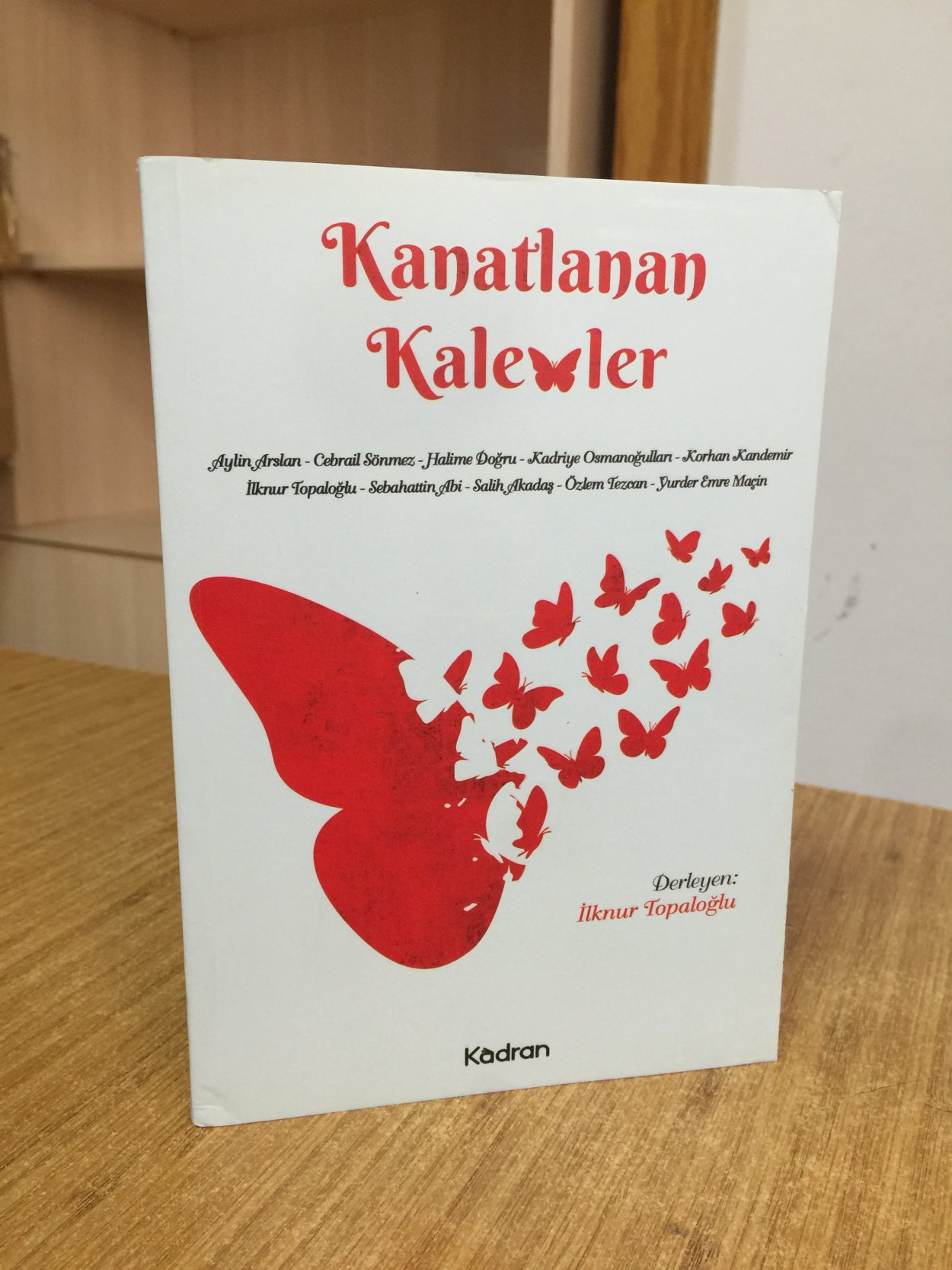 Kanatlanan Kalemler - Derleyen: İlknur Topaloğlu