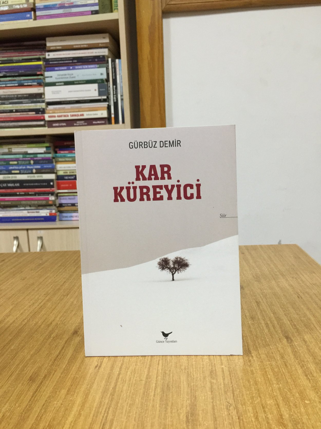 Kar Küreyici - Gürbüz Demir