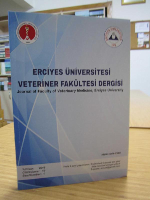 KARAMANNAME Dergisi - 2019-2021 Yılları 4 Sayı TAKIM (Sayılar: 12-13-14-15)