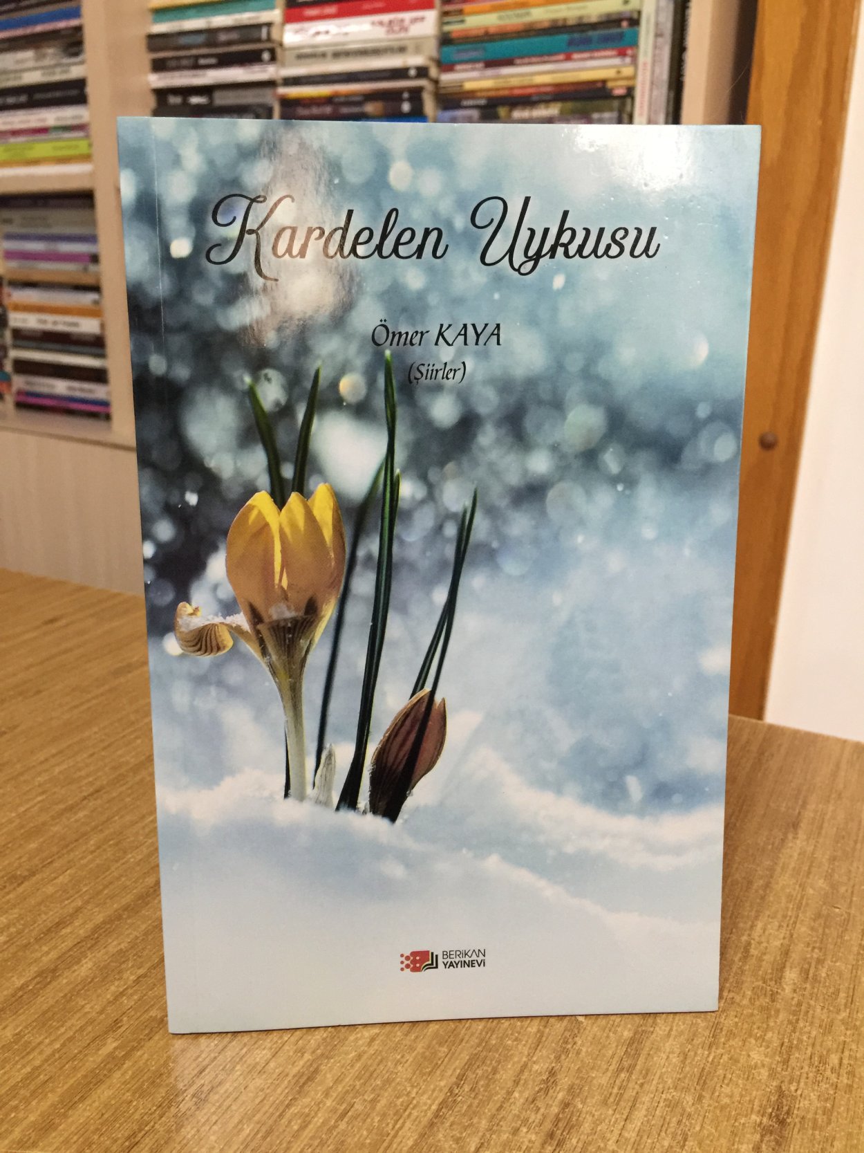Kardelen Uykusu - Ömer Kaya