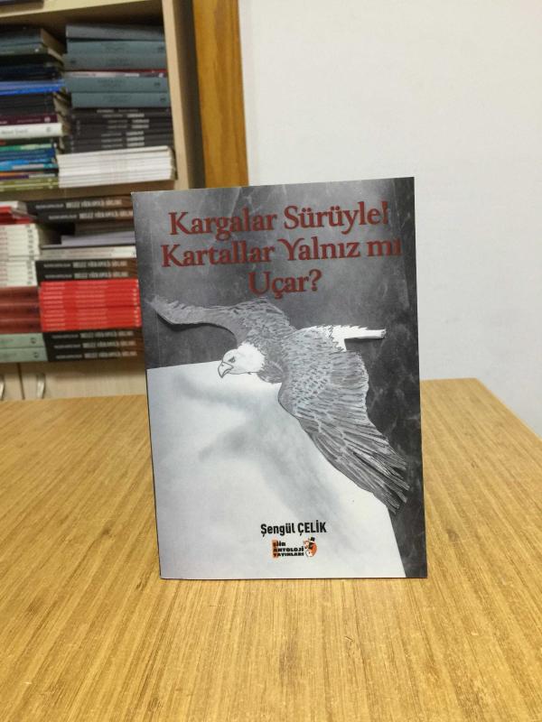 Kargalar Sürüyle Kartallar Yalnız mı Uçar - Şengül Çelik