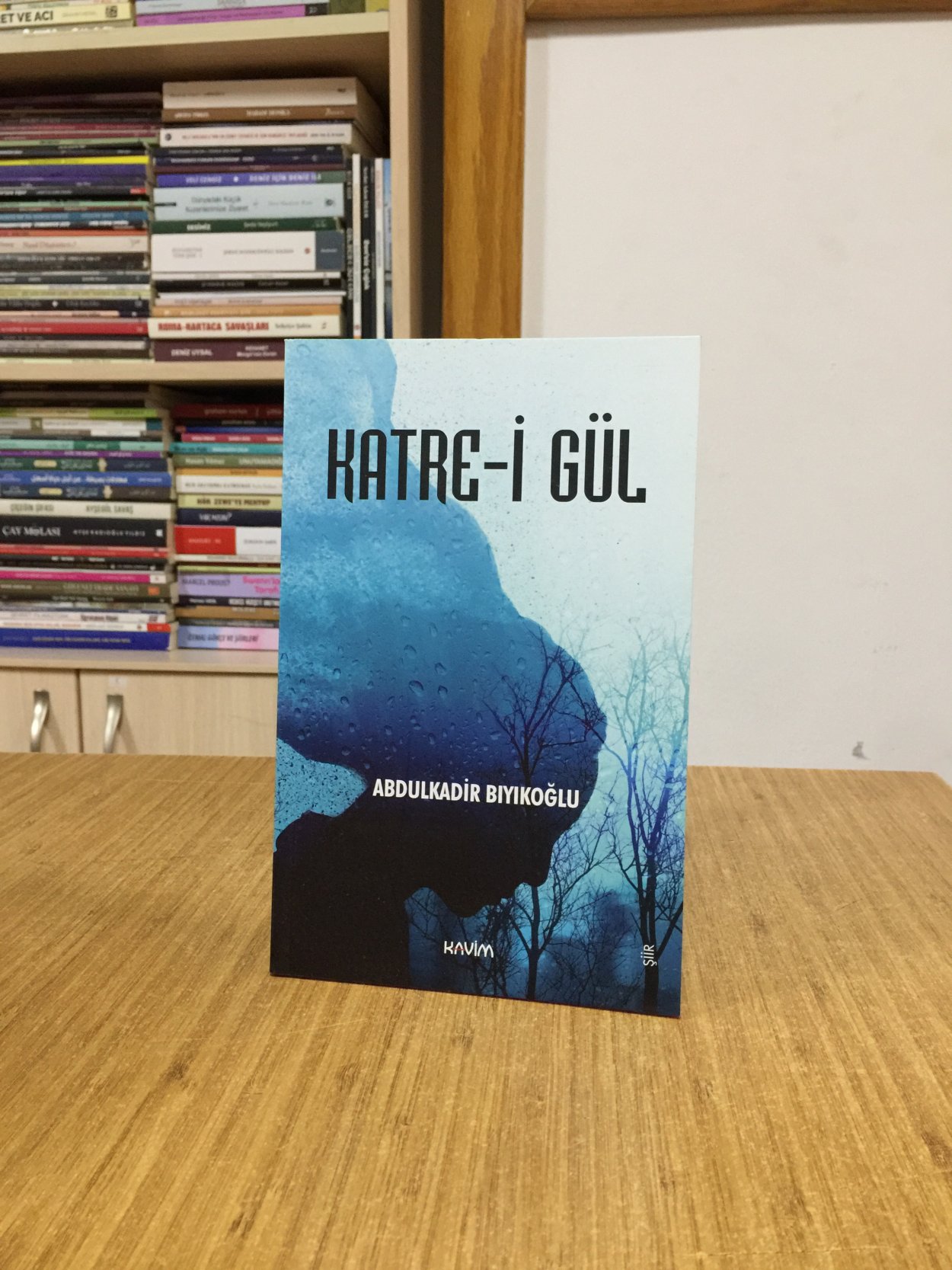 Katre-i Gül - Abdulkadir Bıyıkoğlu
