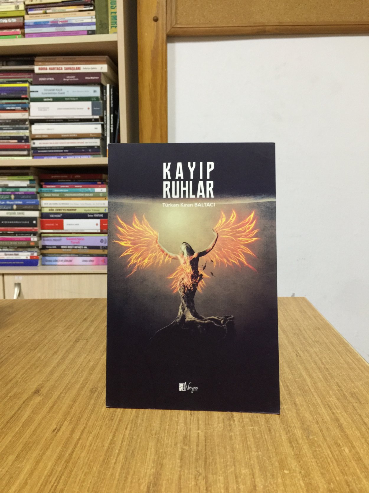 Kayıp Ruhlar - Türkan Kıran Baltacı
