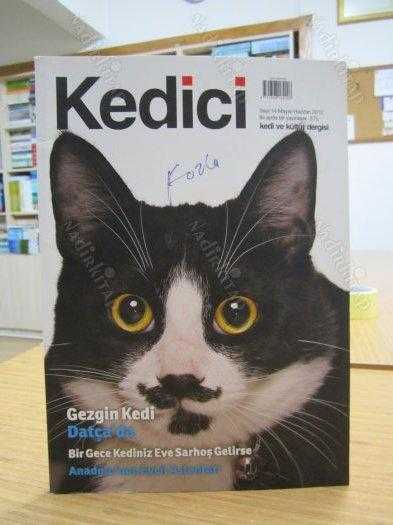 Kedici Kedi ve Kültür Dergisi - Sayı 14 - Mayıs Haziran - 2012