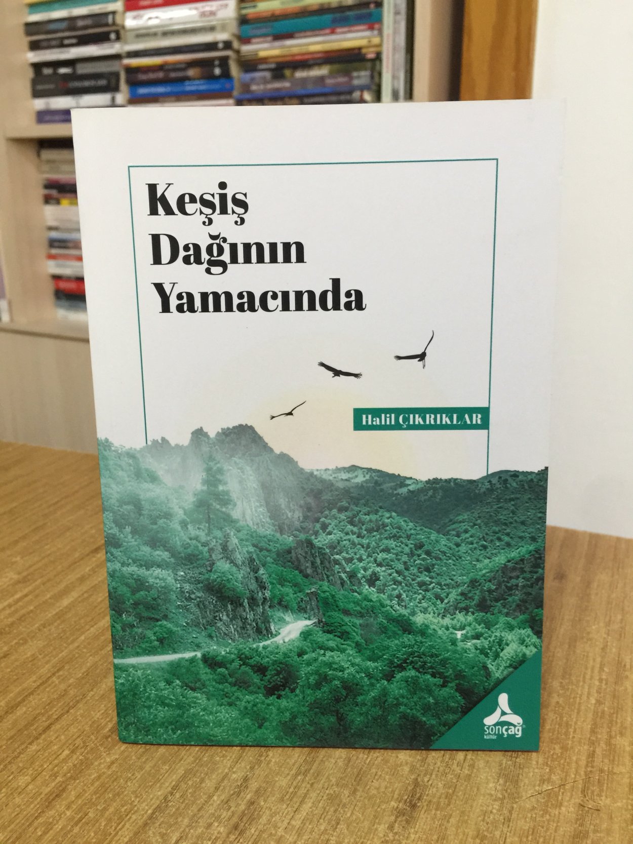 Keşiş Dağının Yamacında - Halil Çıkrıklar