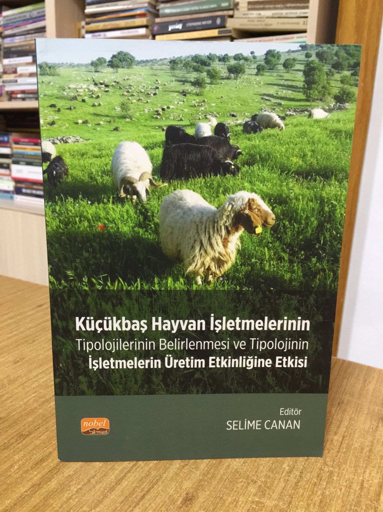 Küçükbaş Hayvan İşletmelerinin Tipolojilerinin Belirlenmesi ve Tipolojinin İşletmelerin Üretim Etkinliğine Etkisi