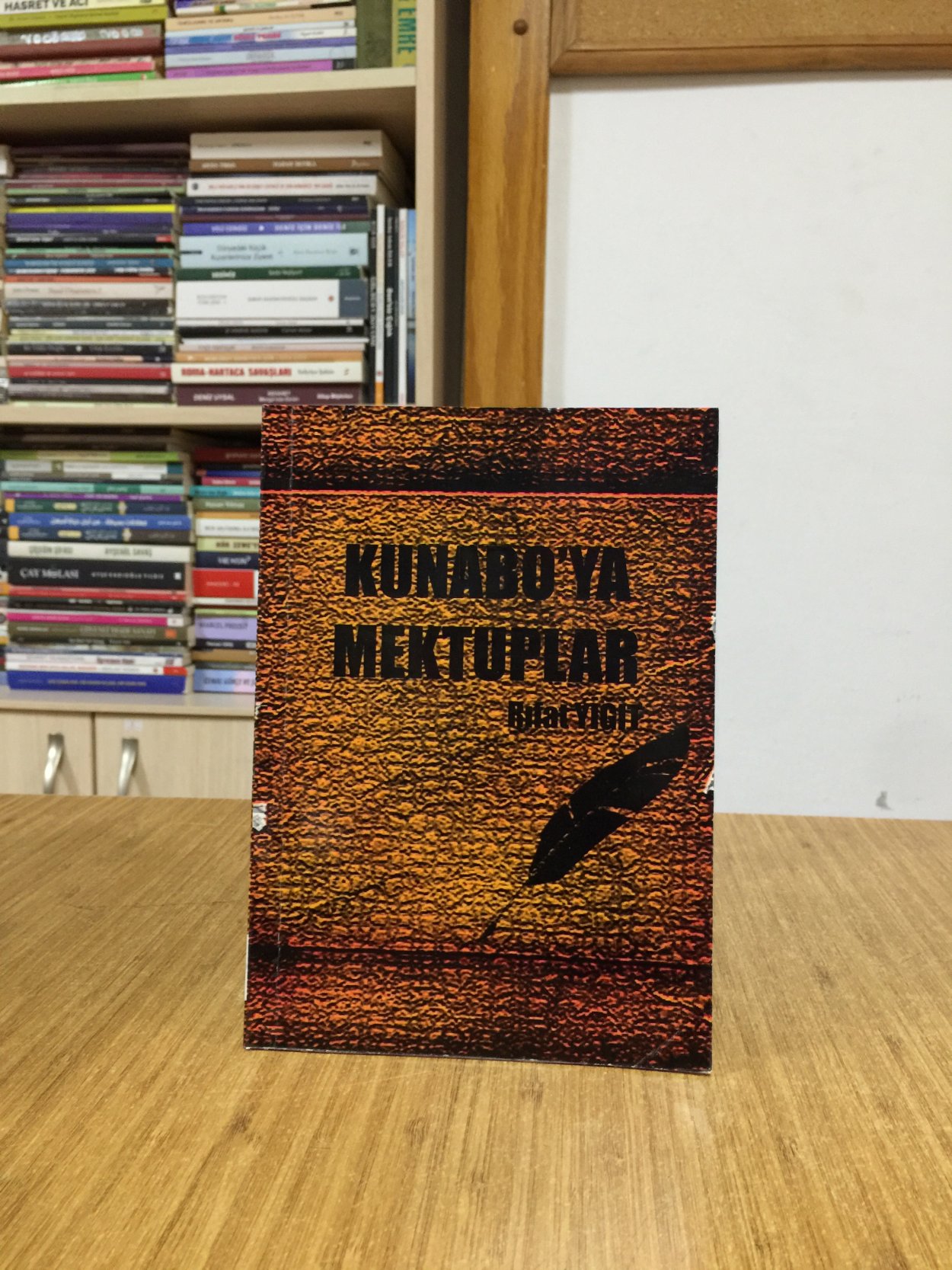 Kunabo'ya Mektuplar - Rıfat Yiğit