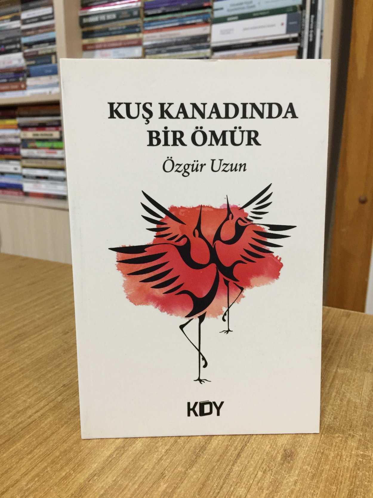 Kuş Kanadında Bir Ömür - Özgür Uzun