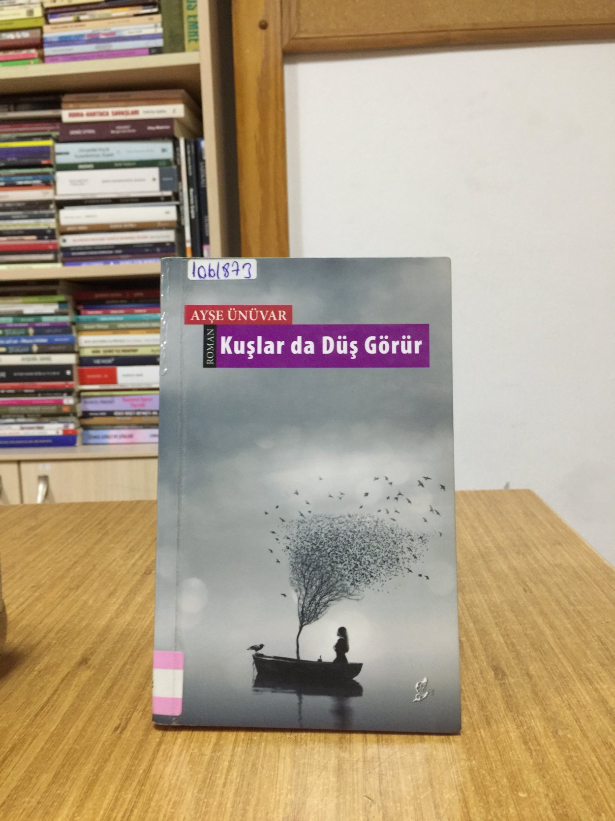 Kuşlar da Düş Görür - Ayşe Ünüvar