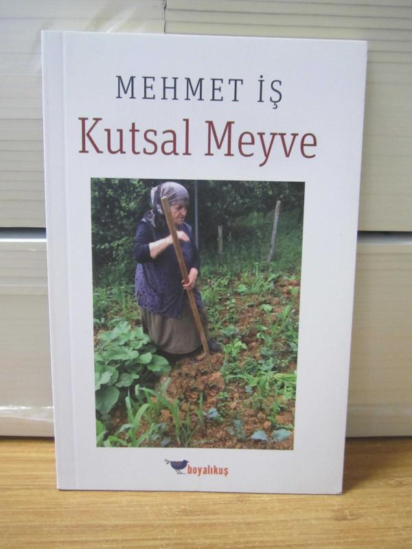 Kutsal Meyve - Mehmet İş