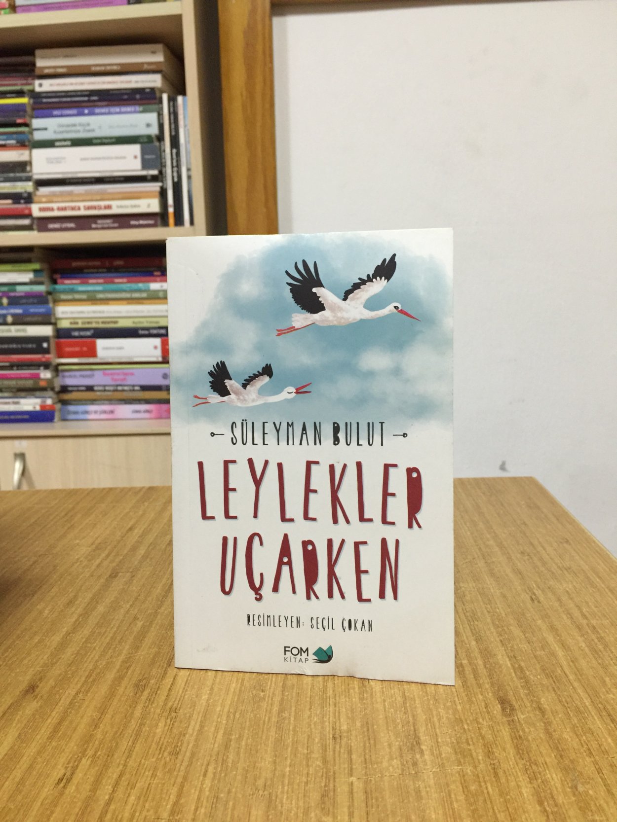 Leylekler Uçarken - Süleyman Bulut