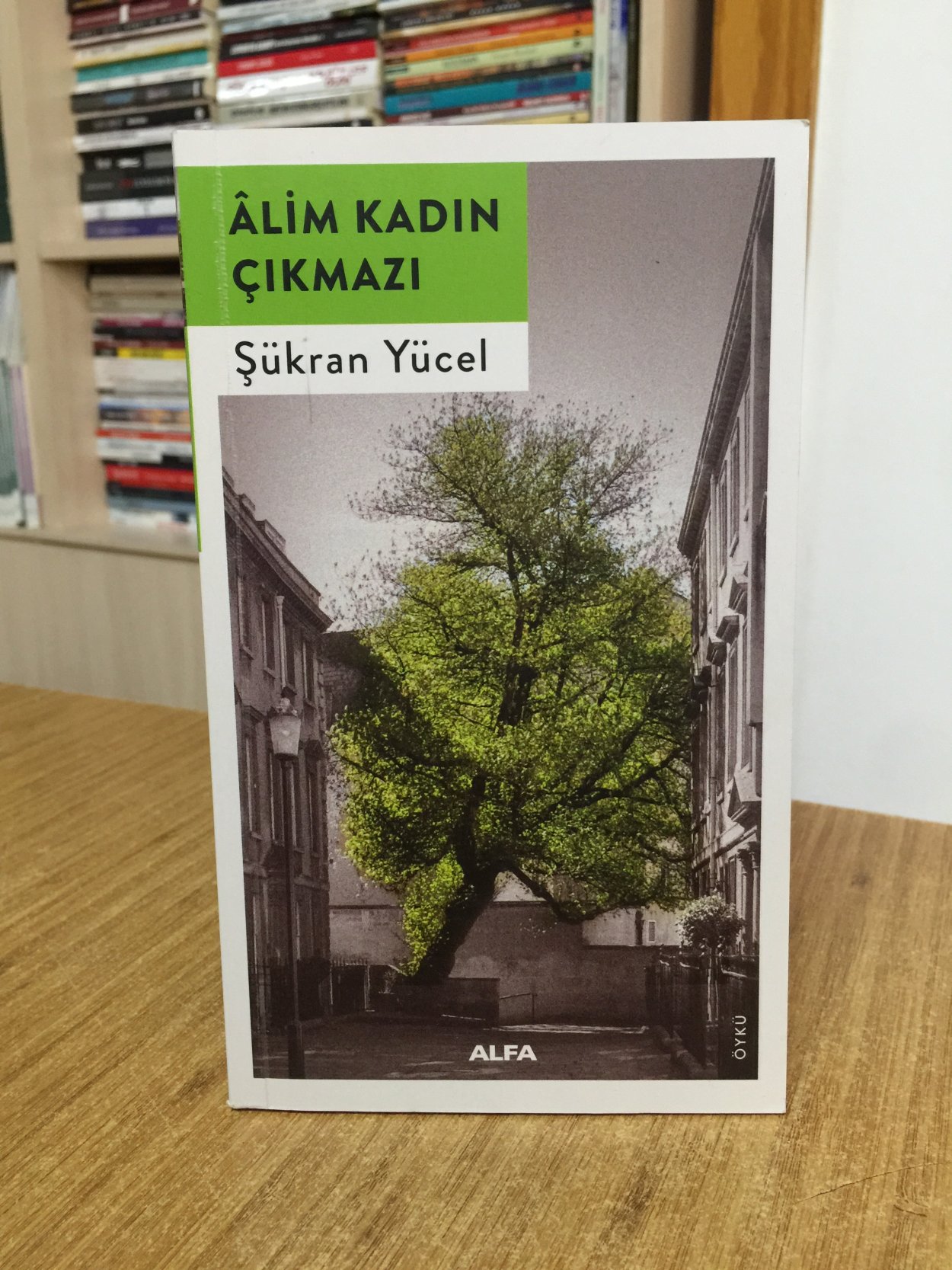 Âlim Kadın Çıkmazı - Şükran Yücel