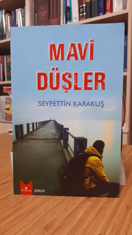 Mavi Düşler