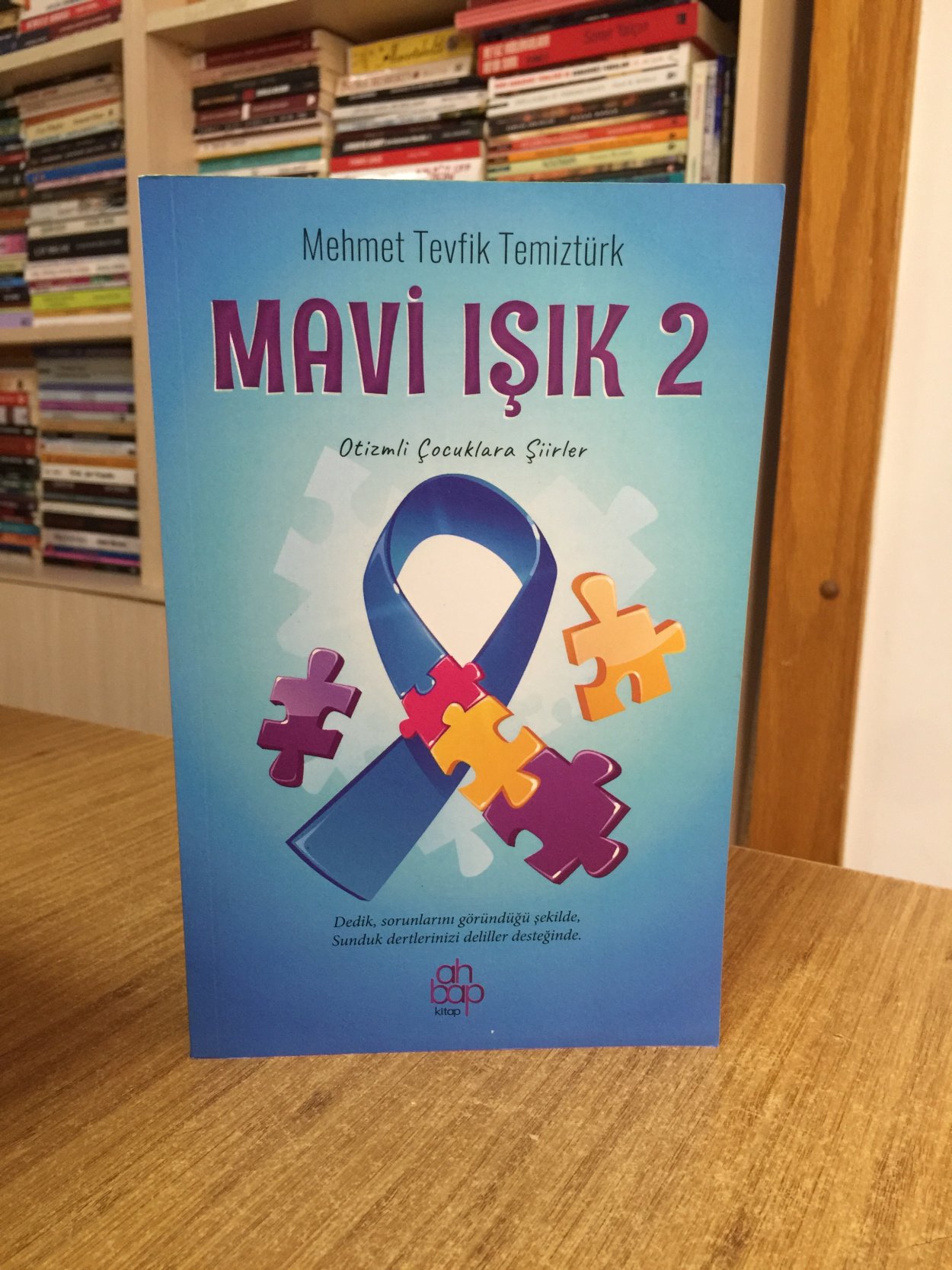 Mavi Işık 2 Otizmli Çocuklara Şiirler - Mehmet Tevfik Temiztürk