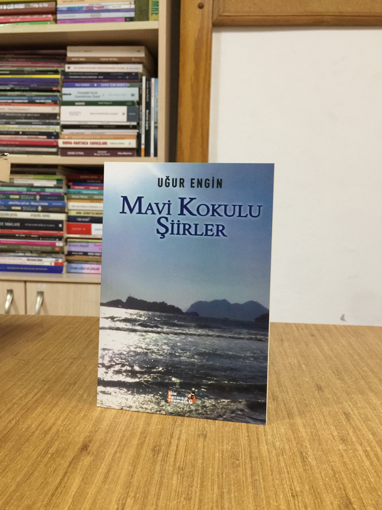 Mavi Kokulu Şiirler - Uğur Engin