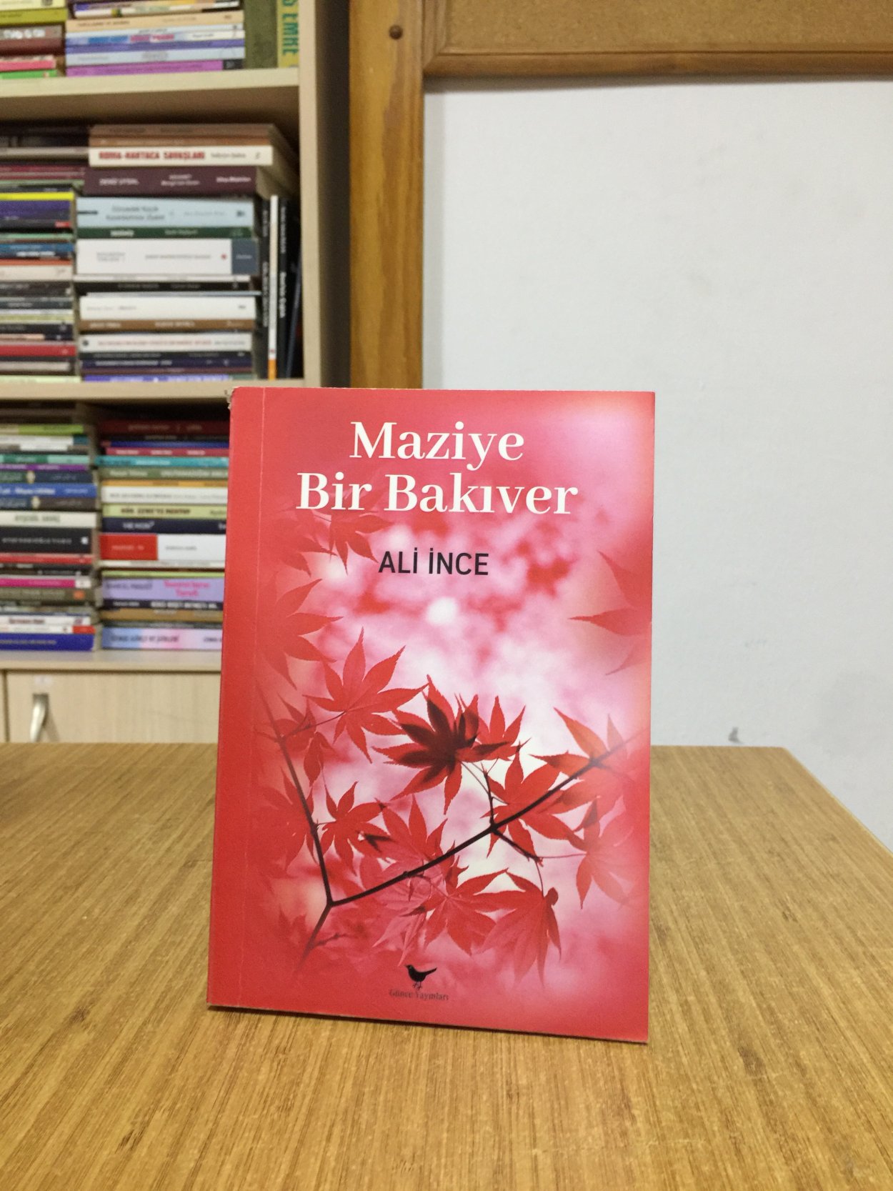 Maziye Bir Bakıver - Ali İnce