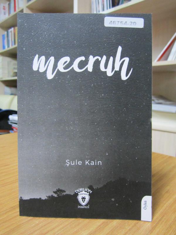 Mecruh - Şule Kain