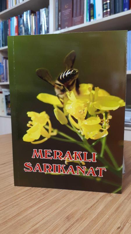 Meraklı Sarıkanat