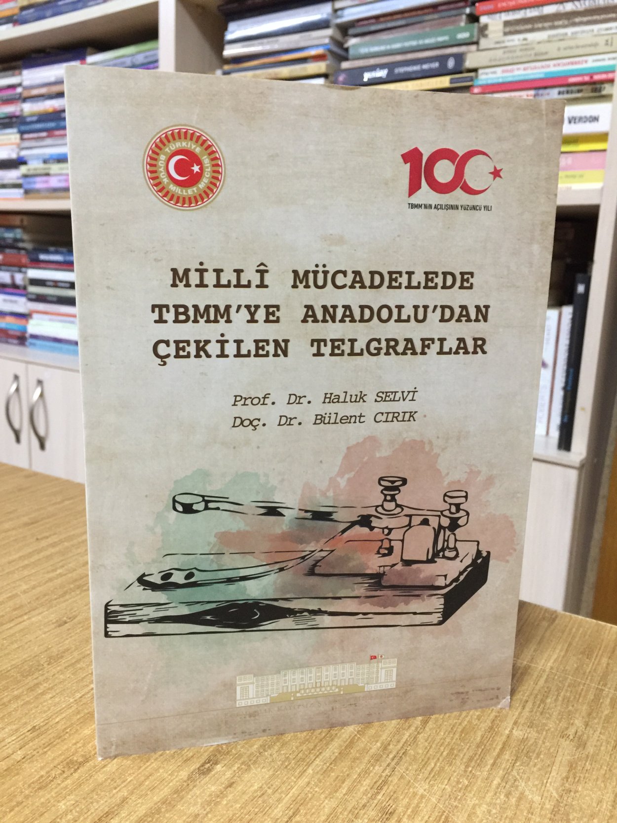 Milli Mücadelede TBMM'ye Anadolu'dan Çekilen Telgraflar