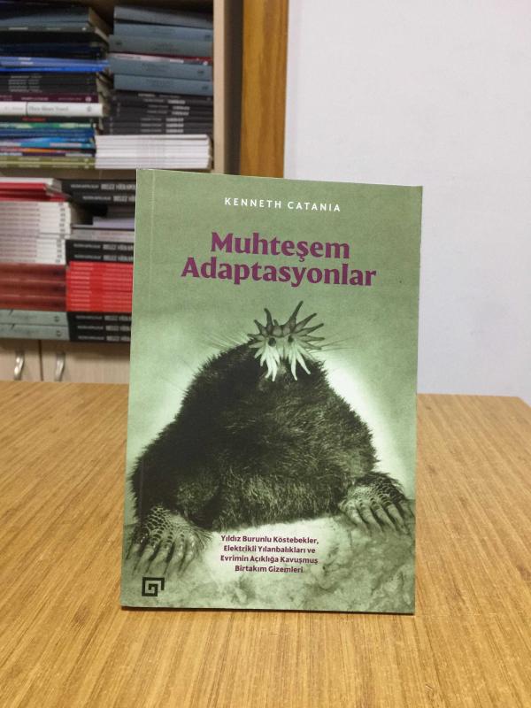 Muhteşem Adaptasyonlar - Kenneth Catania