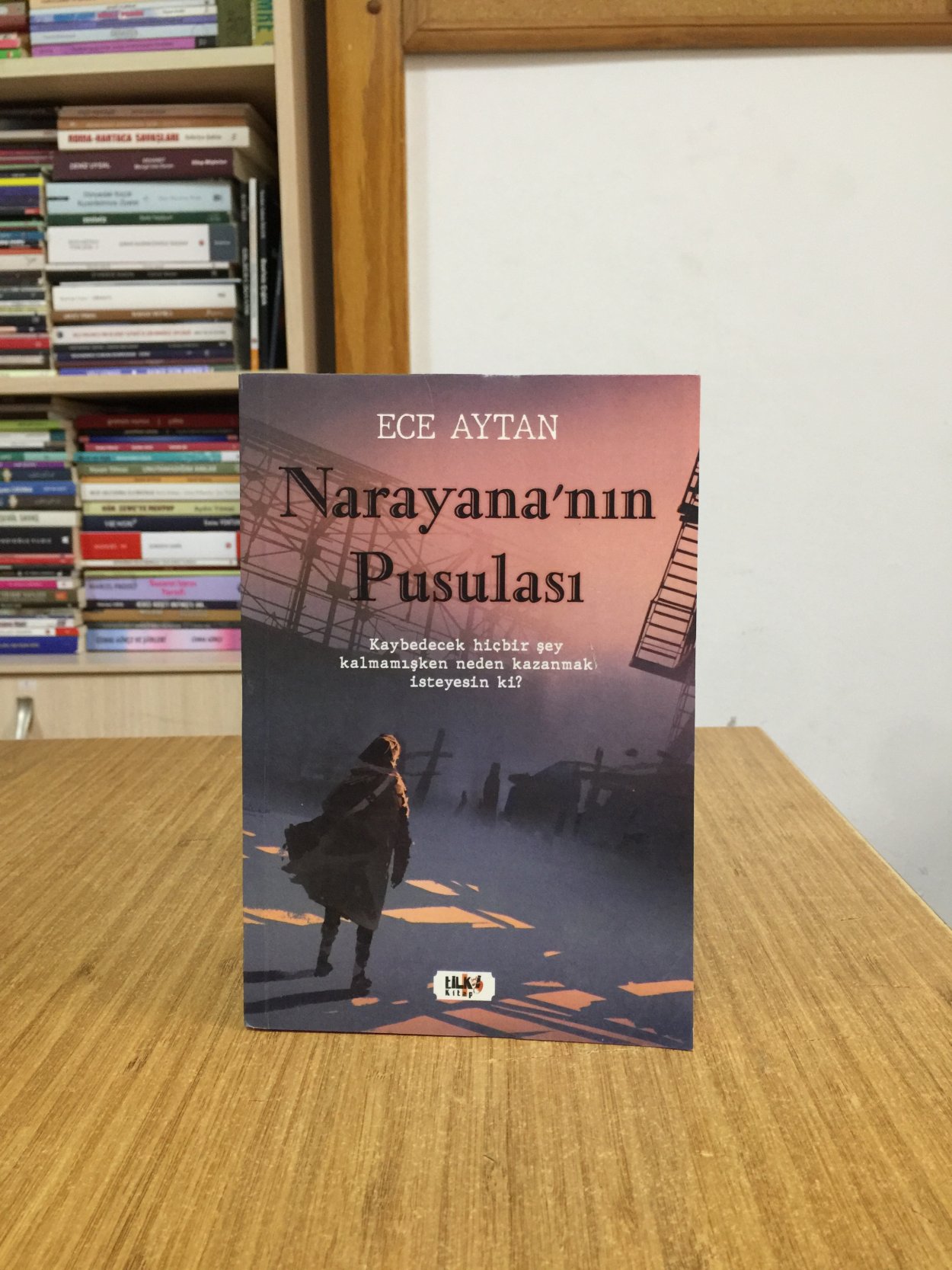 Narayana'nın Pusulası - Ece Aytan