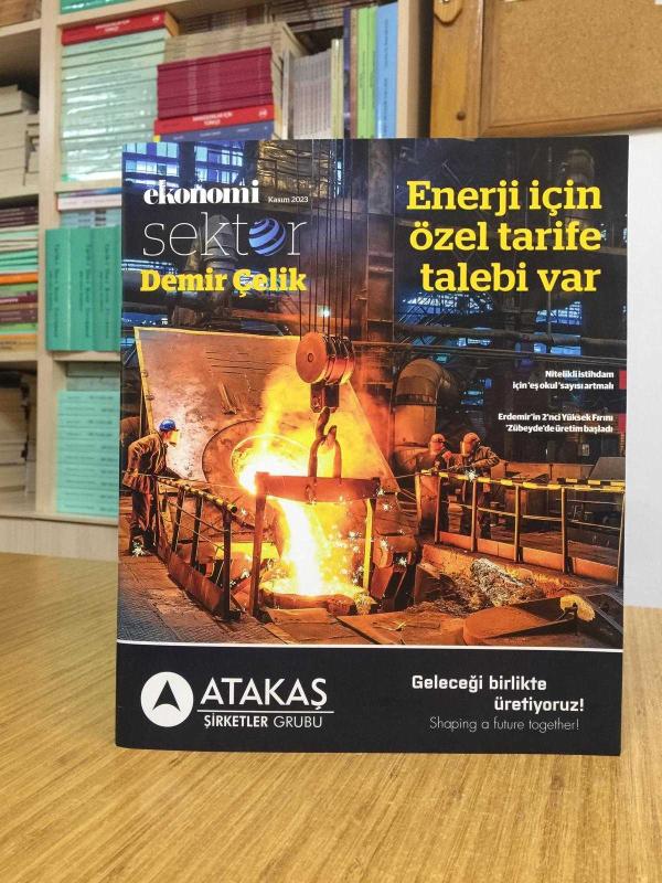 Nasıl Bir Ekonomi SEKTÖR - Kasım 2023 - DEMİR ÇELİK