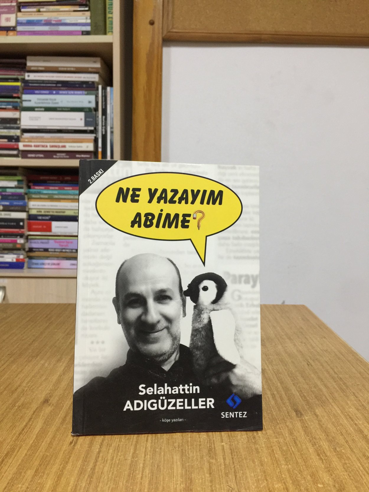 Ne Yazayım Abime - Selahattin Adıgüzeller