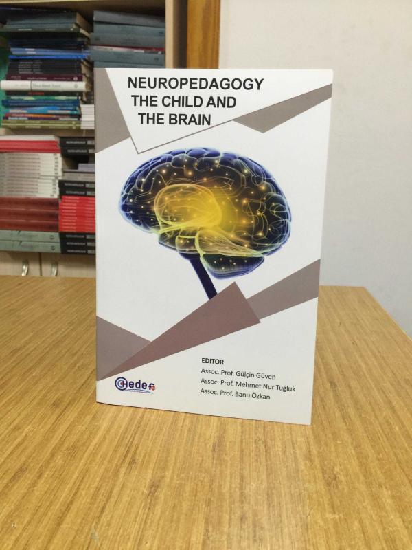 Neuropedagogy The Child and The Brain