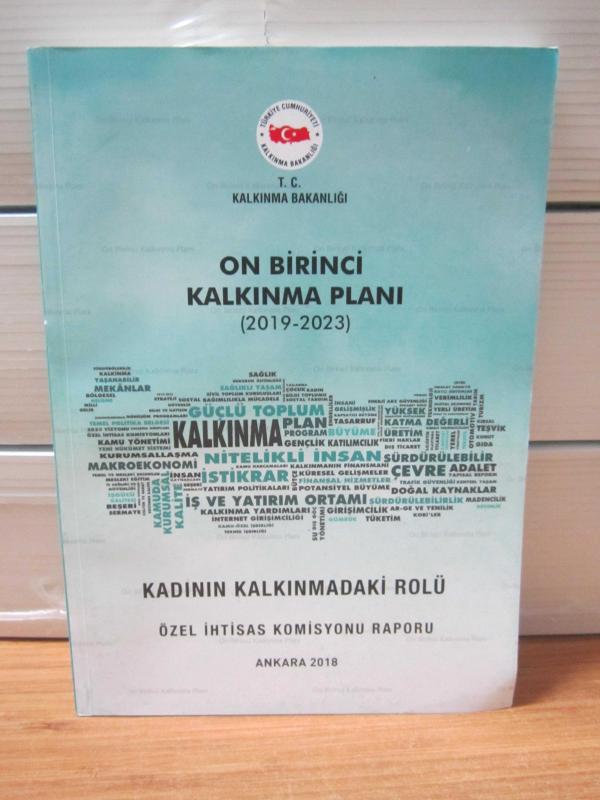On Birinci Kalkınma Planı 2019 - 2023 - Kadının Kalkınmadaki Rolü - Özel İhtisas Komisyonu Raporu