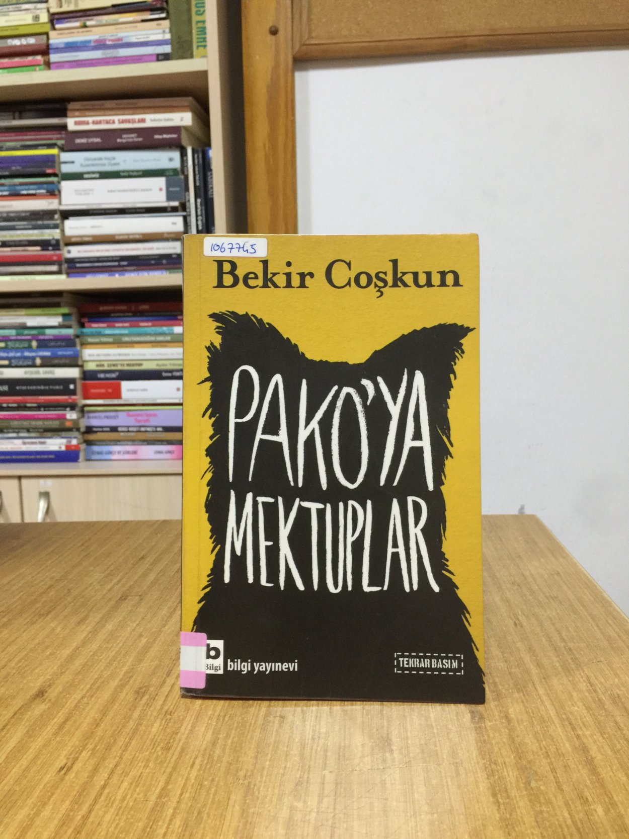 Pako'ya Mektuplar - Bekir Coşkun