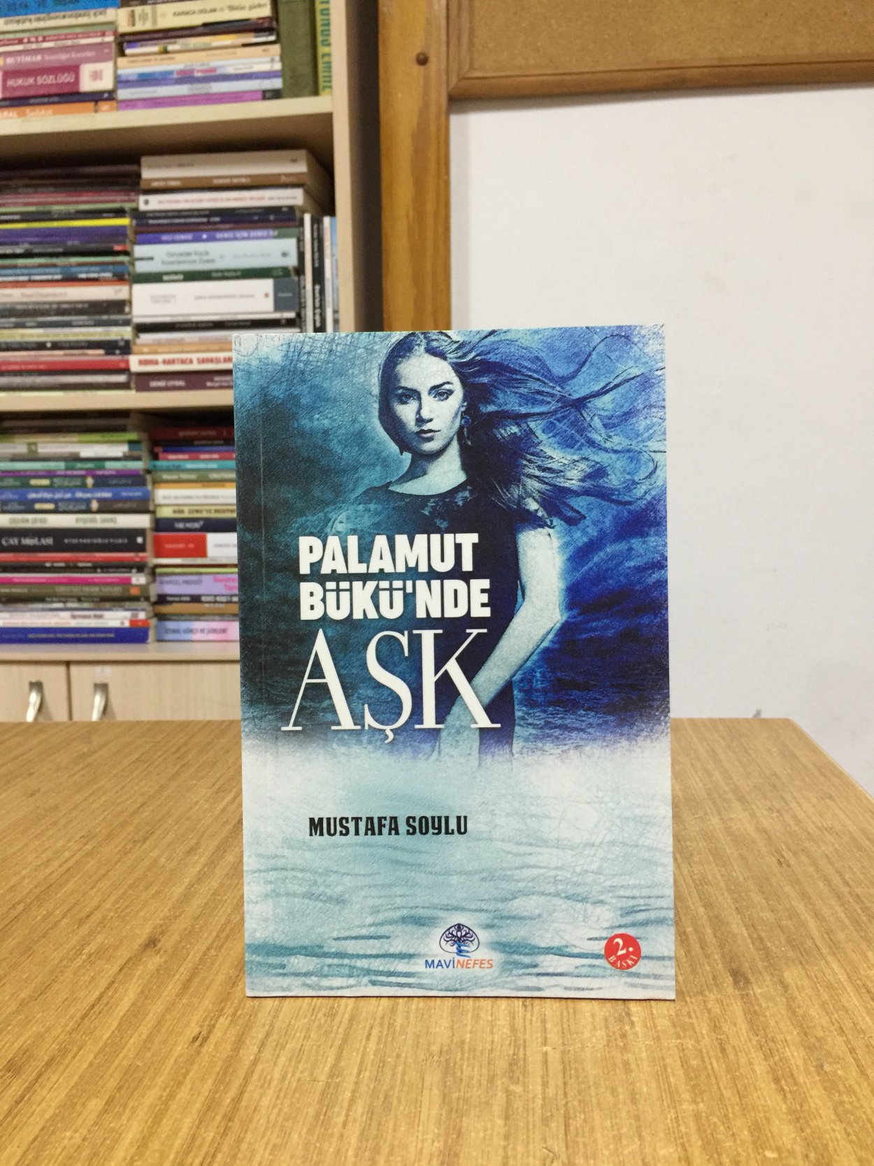 Palamut Bükü'nde Aşk - Mustafa Soylu