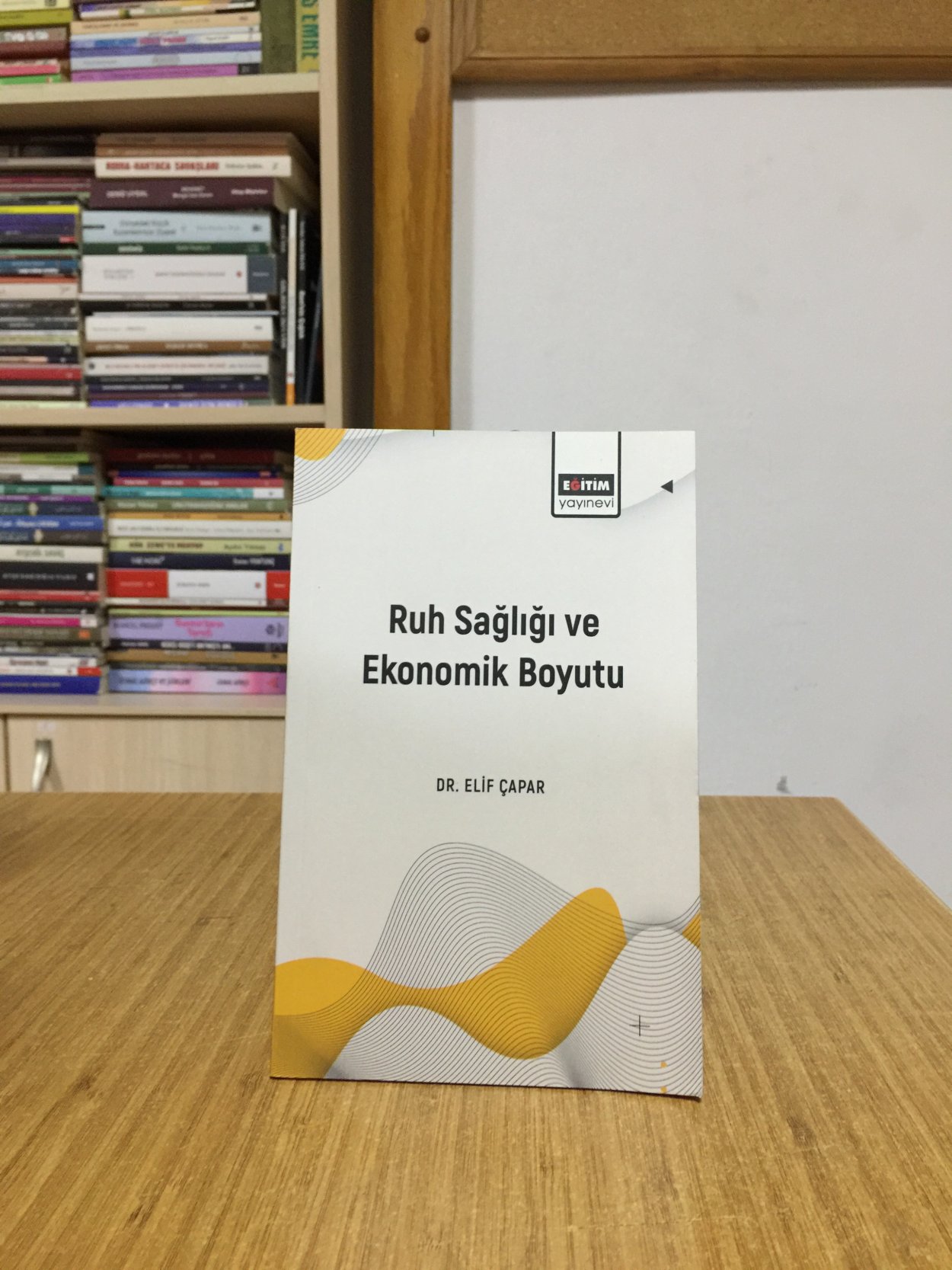 Ruh Sağlığı ve Ekonomik Boyutu - Dr. Elif Çapar