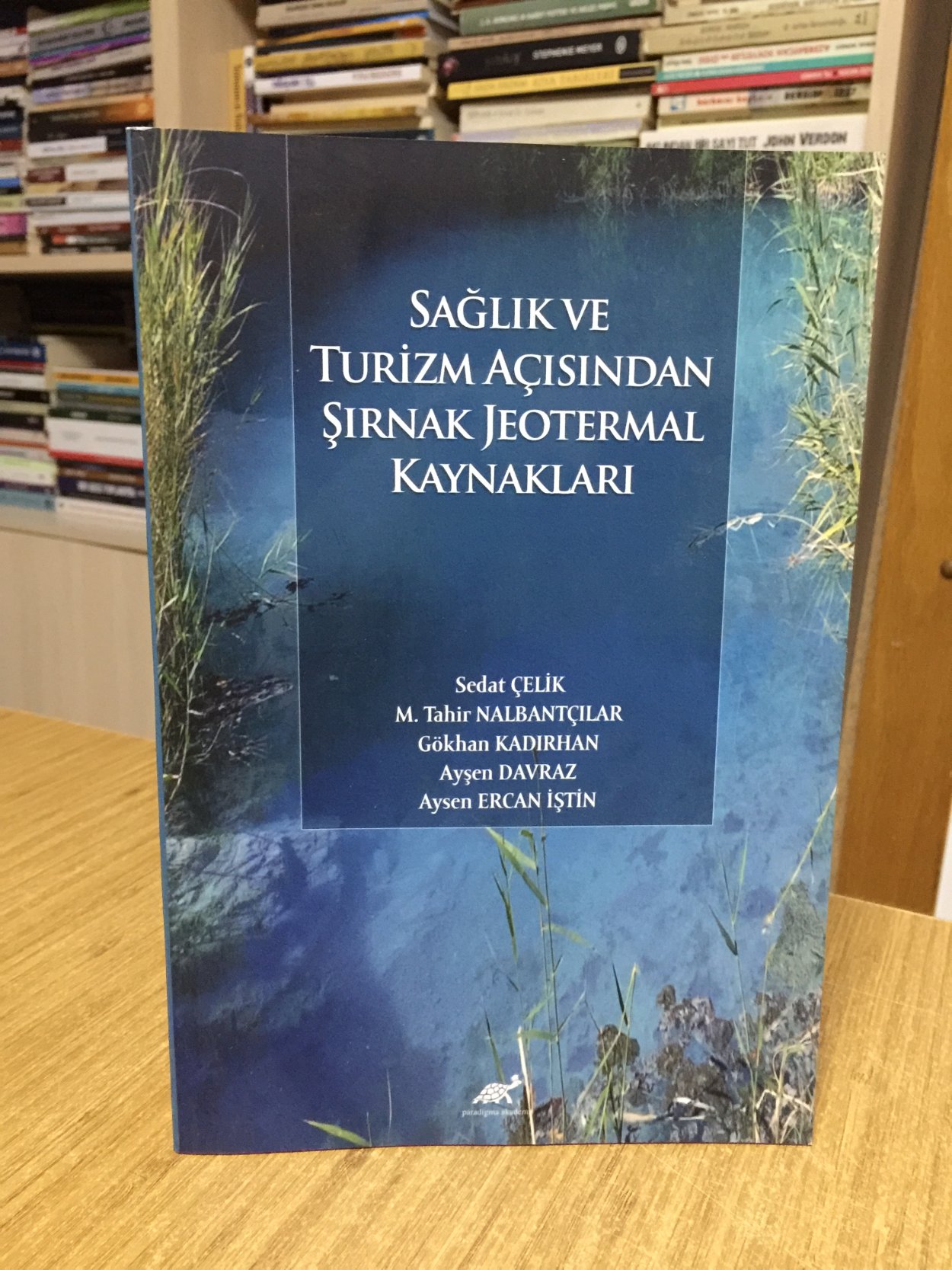 Sağlık ve Turizm Açısından Şırnak Jeotermal Kaynakları