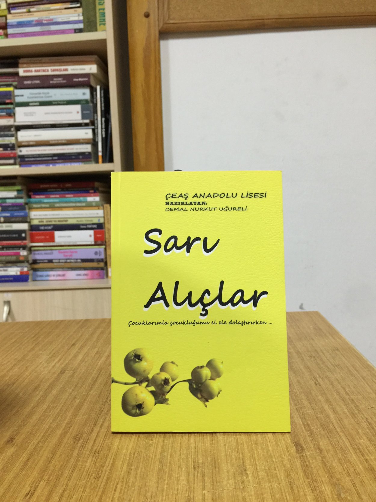 Sarı Alıçlar / ÇEAŞ Anadolu Lisesi