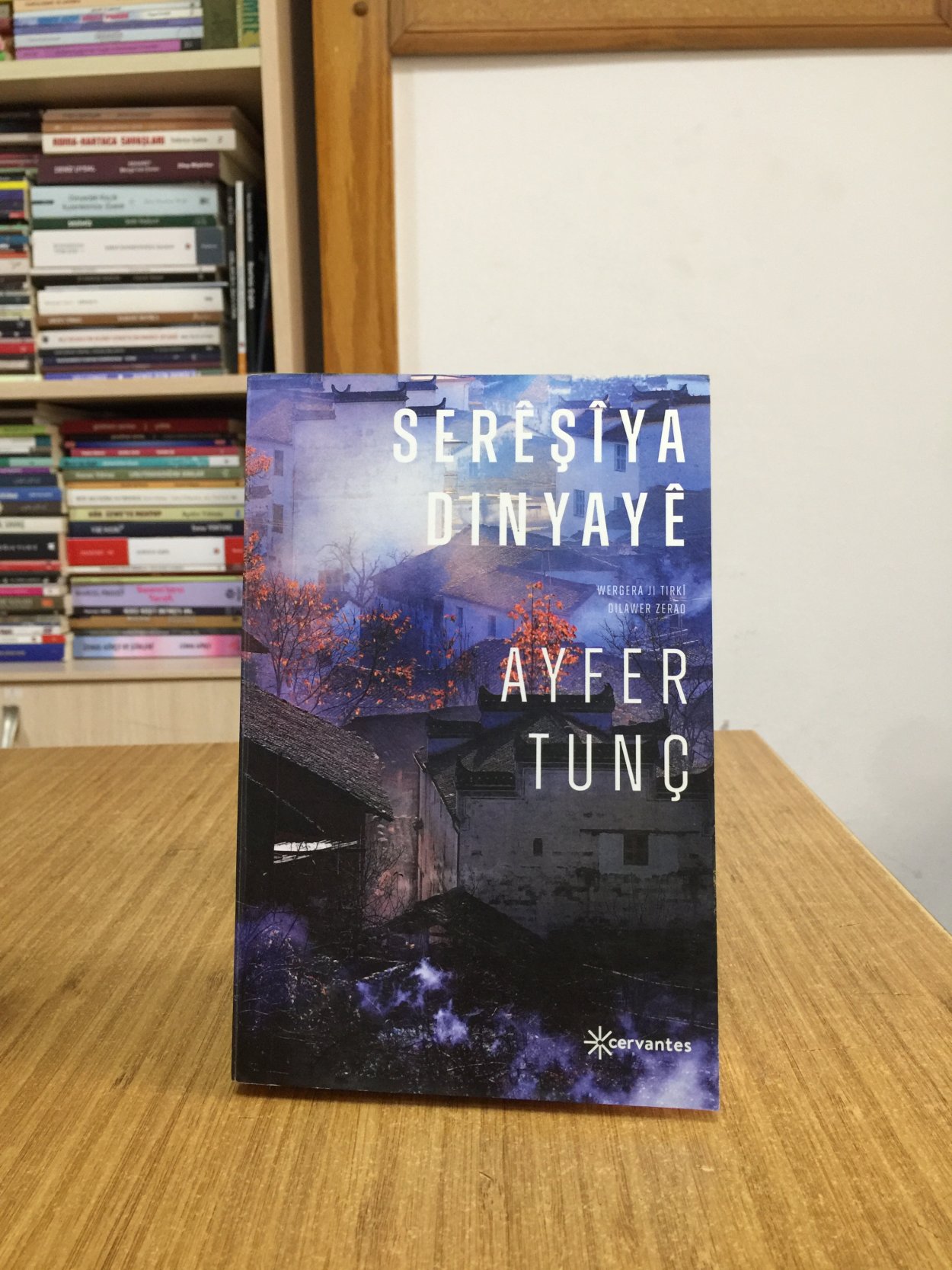 Serêşîya Dinyayê - Ayfer Tunç
