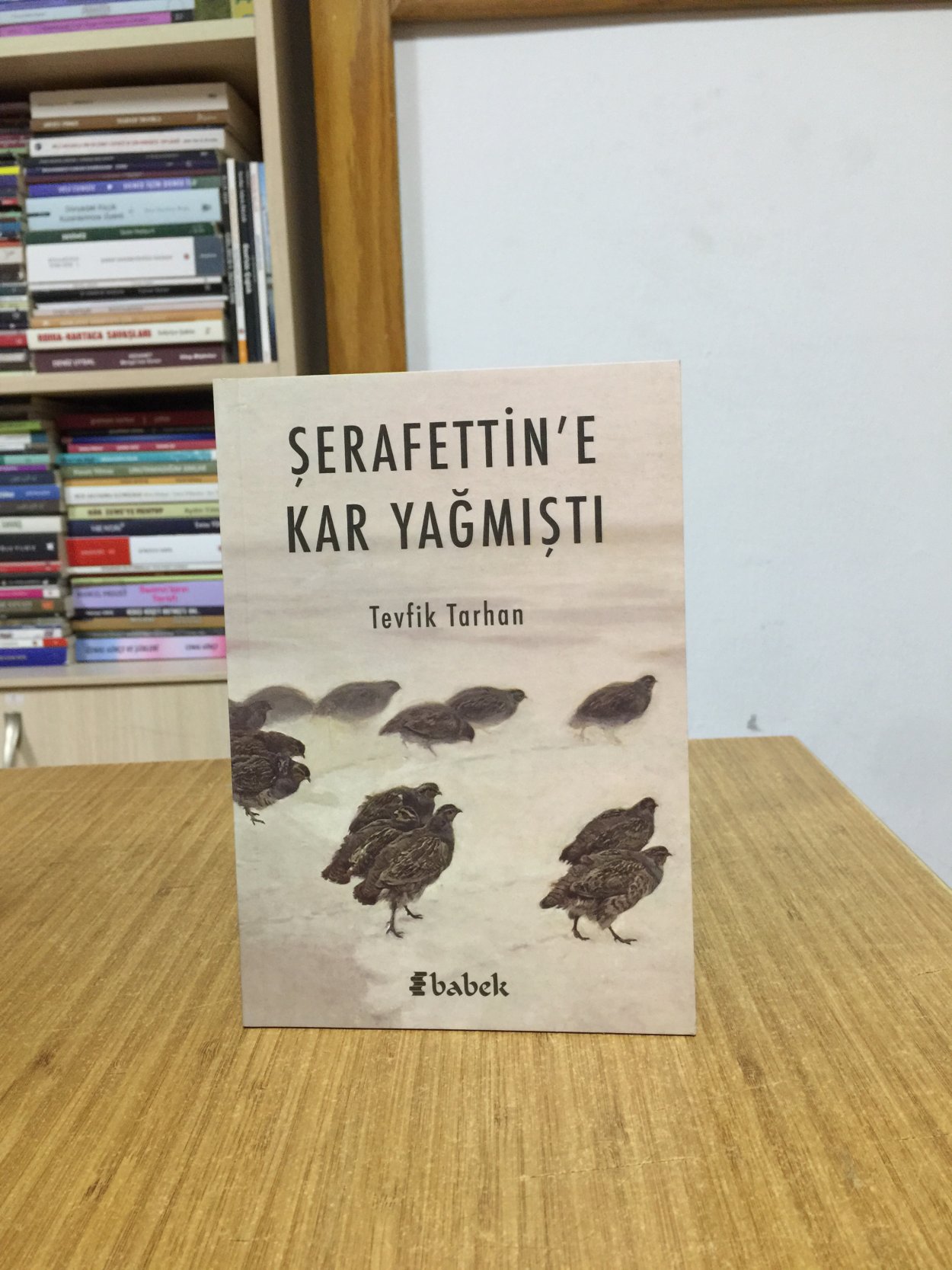 Şerafettin'e Kar Yağmıştı - Tevfik Tarhan